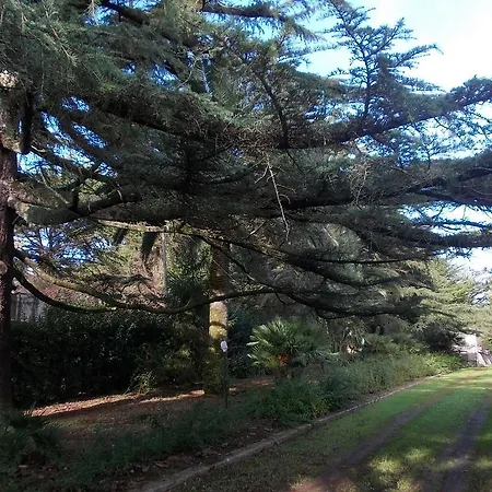 Trullo Con Parco Privato Летний дом *